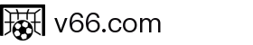 v66.com - 官网 - 独享门户一触即达